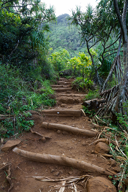 Kauai - 073.jpg